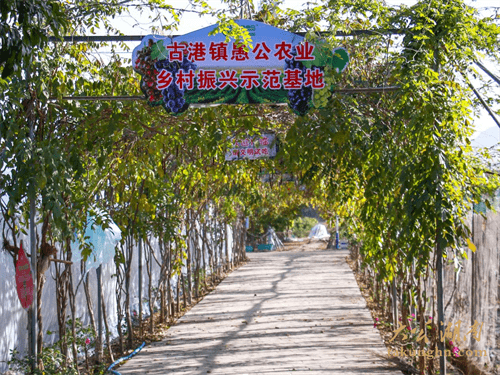乡村振兴看浏阳②｜愚公庄园：果香飘满致富路