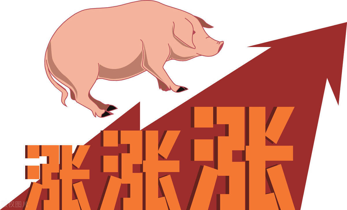 猪价跌，饲料也跌，“反常现象”透露了什么信号？2023年猪价预测