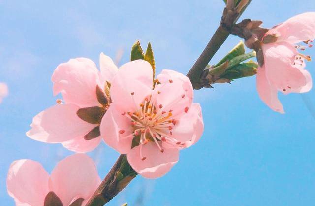 冬日感怀，微笑向暖，安之若素