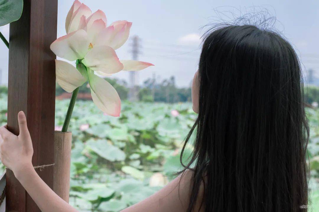 春节出游｜人少景美好吃好玩的城市（江门篇）