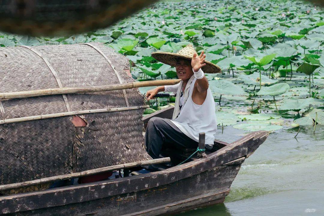 春节出游｜人少景美好吃好玩的城市（江门篇）