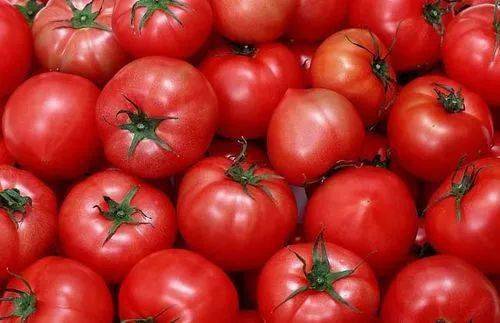 西红柿多是被催熟的？泛青西红柿能吃吗？关于西红柿的流言蜚语......