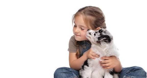 孩子们应该养宠物吗？宠物应该伴随着孩子们的成长吗？对孩子对地