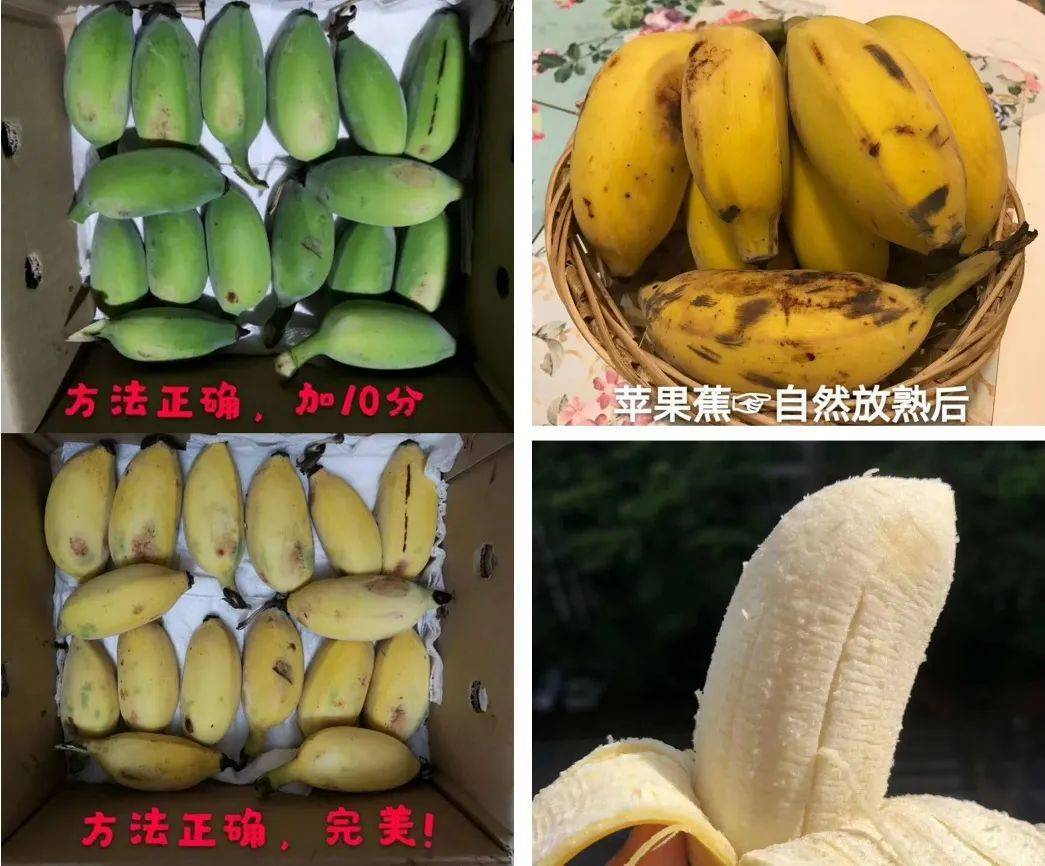 一种水果，两种享受，香甜软糯、口口留香，吃了还想吃的原生态苹果蕉！