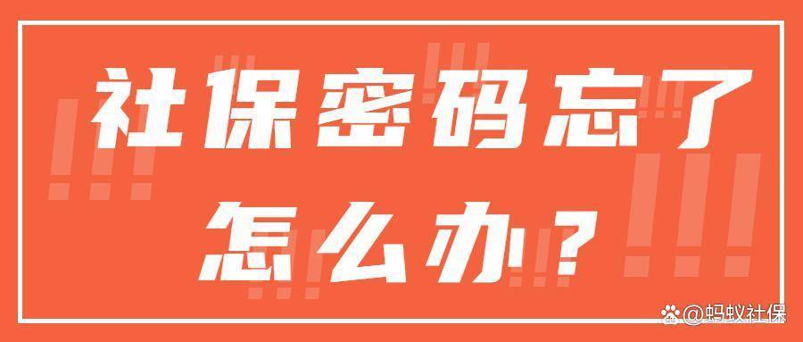 蚂蚁课堂：用不了几次社保卡，竟然忘了密码？怎么办！一文搞定~