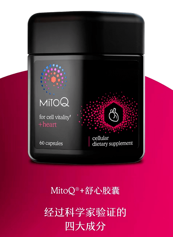 MitoQ效果怎么样？6周便可显著改善心血管功能！