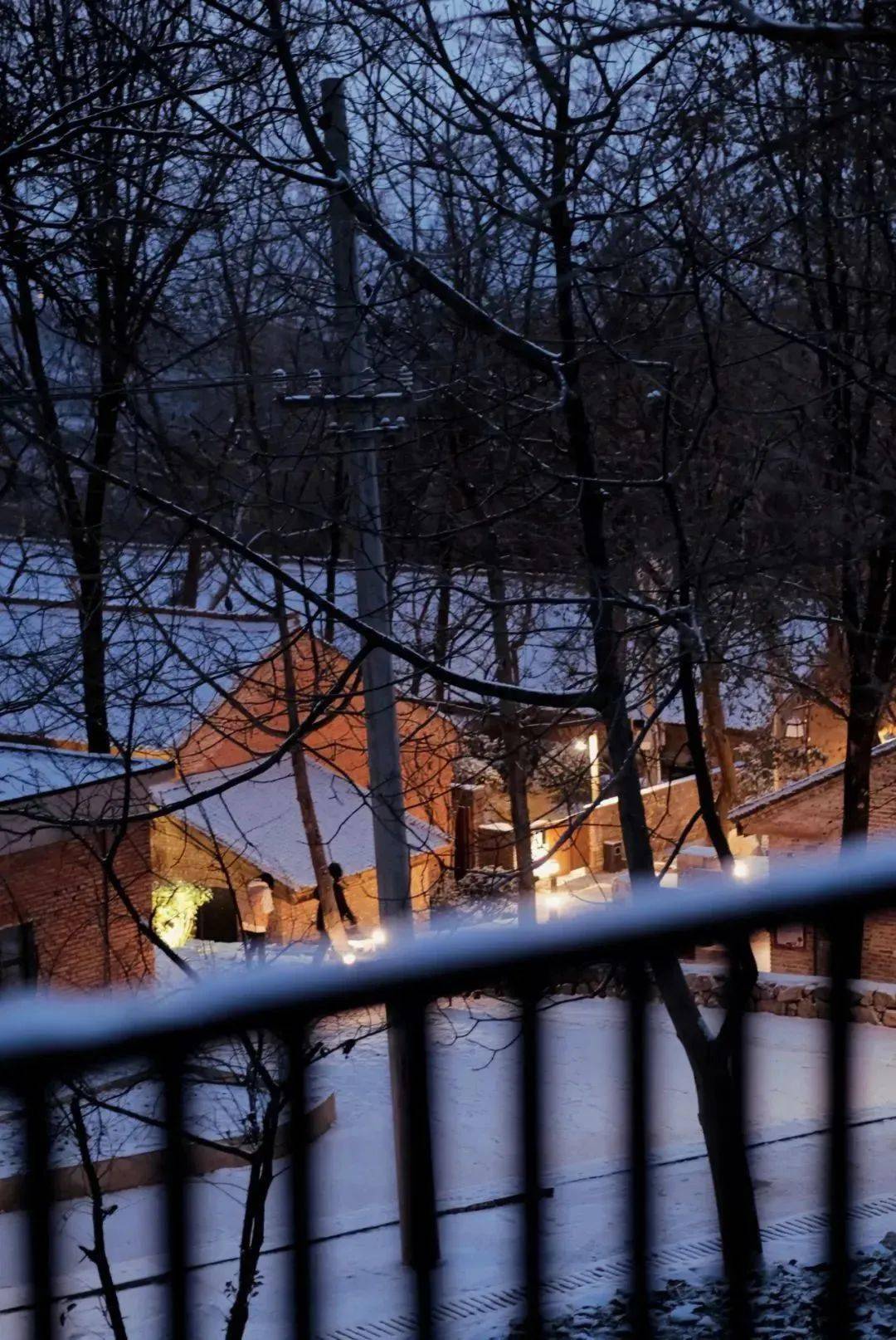 借山·下杨寨：初雪的第一份旅行明信片