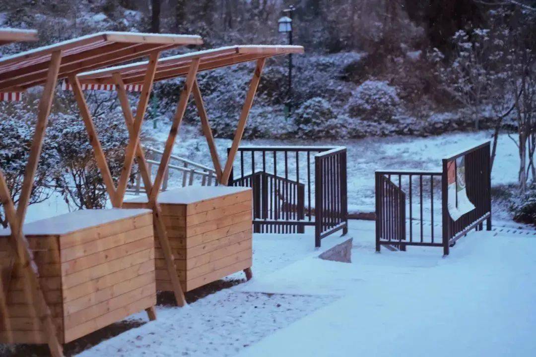借山·下杨寨：初雪的第一份旅行明信片