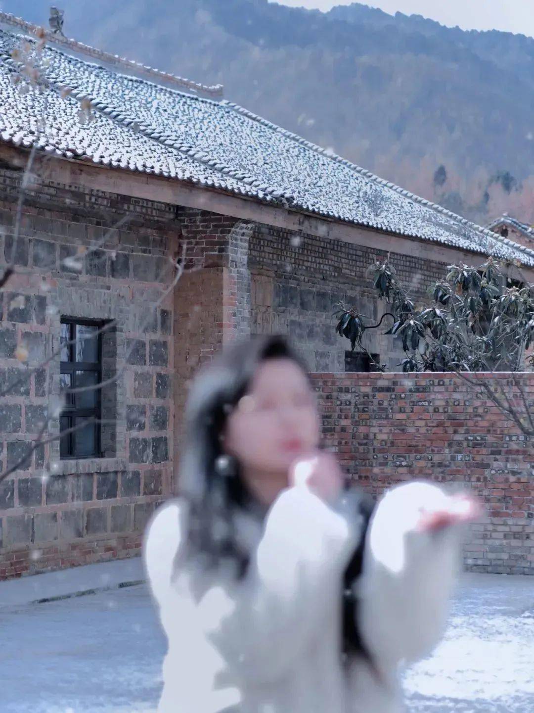 借山·下杨寨：初雪的第一份旅行明信片