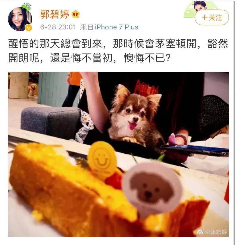 奚梦瑶全家福四太站C位，郭碧婷老公失踪被向太宠上天…同年嫁豪门如今路不同