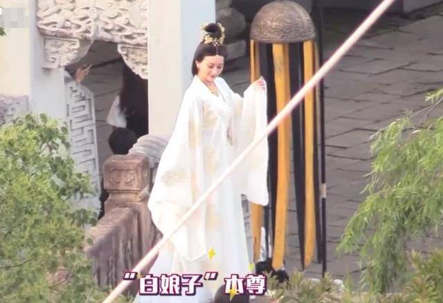 《萌探》迎来“白娘子”赵雅芝，和杨紫唱主题曲，有谁注意到杨颖