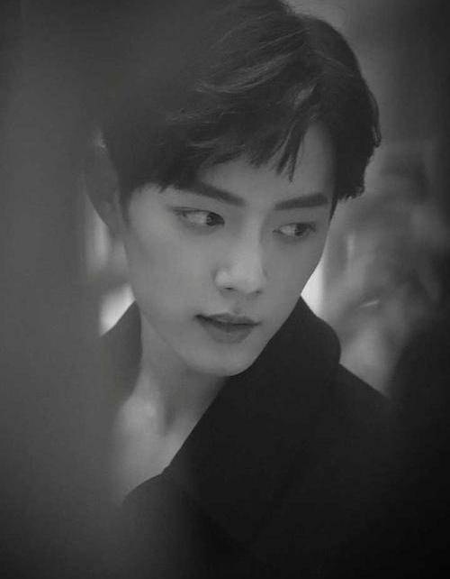 肖战双曲荣登“QQ音乐”！特殊“成就”看哭粉丝，正能量终被关爱