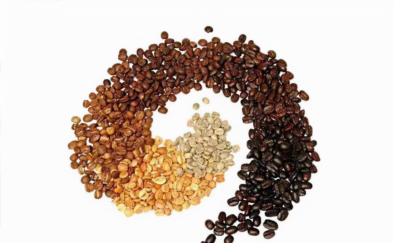 咖啡圈黑话大揭秘，“养豆”、“醒豆”是什么意思？