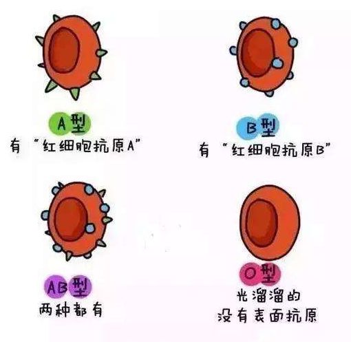 ab型血的白羊座男生性格_水瓶座ab型男生性格_ab型血人的性格