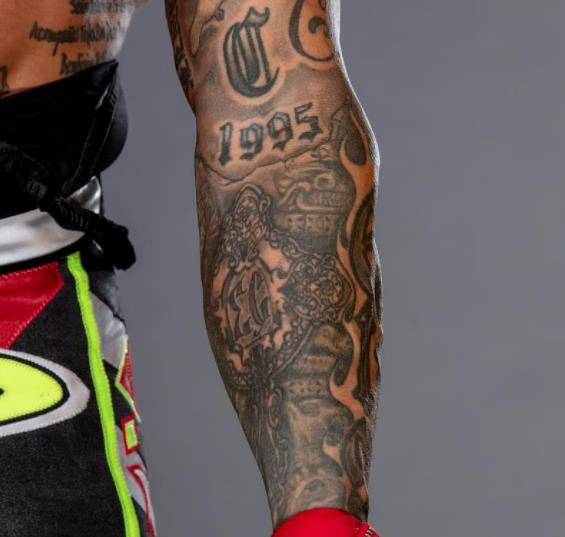 佩奇用纹身纪念前男友，原来WWE这些人身上的纹身都有特殊含义