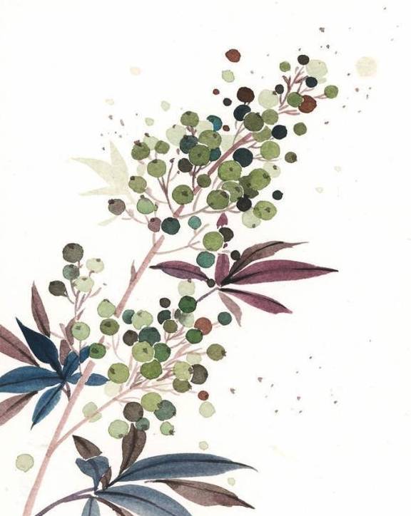 干货！8张巧夺天工的高清素材，网友：画得和照片一样！