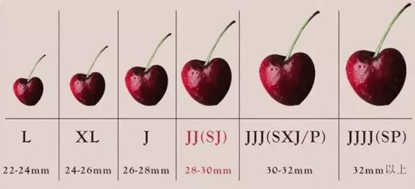 车厘子竟然还分J级、JJ级，J是哪个英语单词？