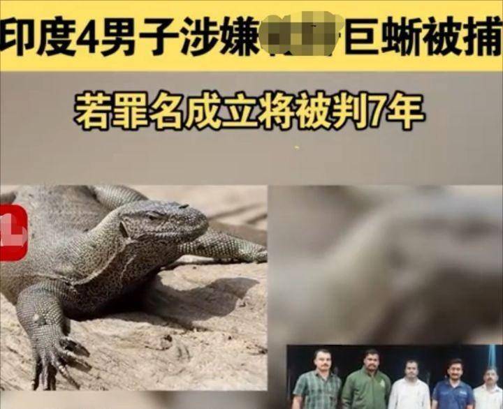 高晓松的“不可一世”，终于让他付出了“代价”