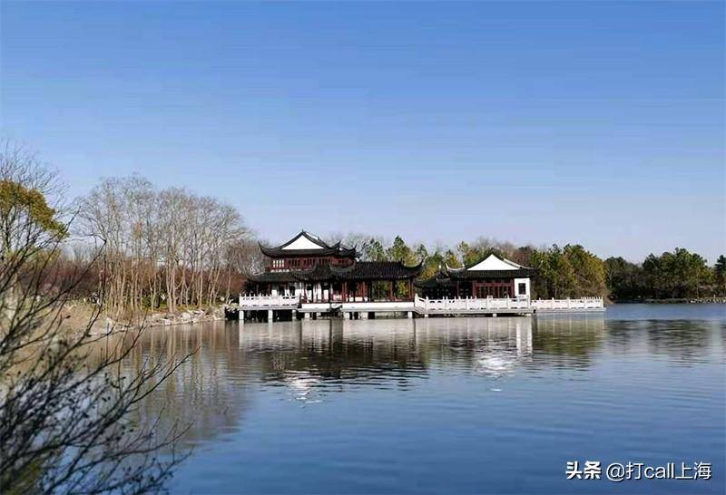 去海湾赏梅，有哪些“要点”不可不知