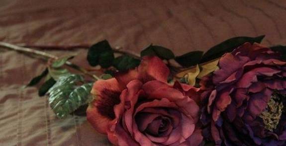 塔罗占卜：4朵玫瑰花你更喜欢哪一朵？秒测你和心上人缘分多深？