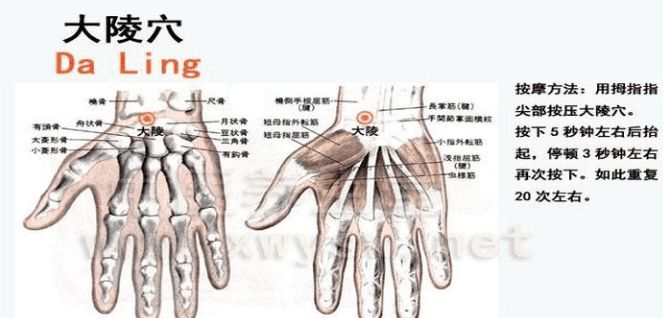 鬼门十三针带图解（解密鬼门十三针）