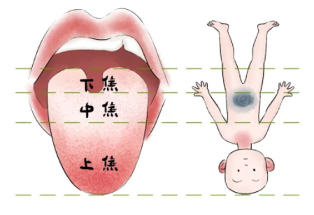 16张经典舌头照，带你看清身体内部的健康状况