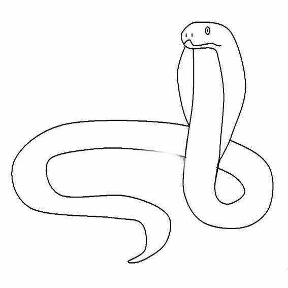 巨蛇的简笔画图片