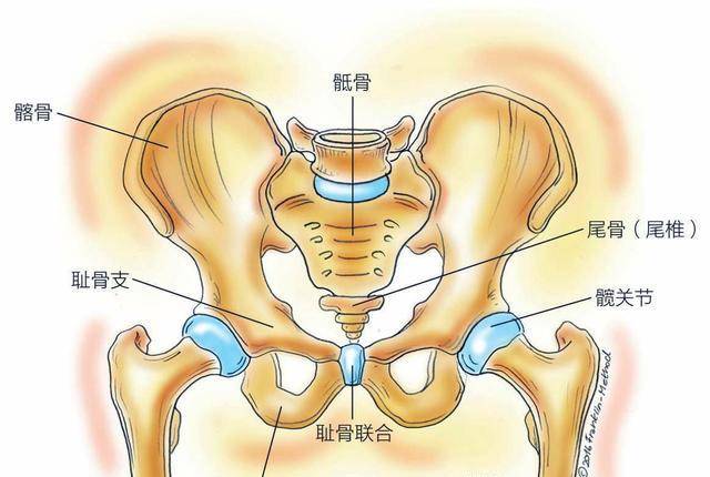 动物生孩子容易，生孩子的时候却让人心碎，为什么？