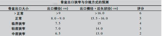 动物生孩子容易，生孩子的时候却让人心碎，为什么？