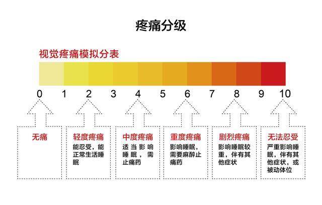 动物生孩子容易，生孩子的时候却让人心碎，为什么？