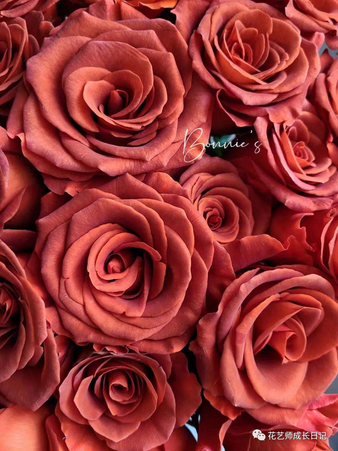 100朵玫瑰vol.77 - 杏仁酒玫瑰，老古董一样的复古金属色！