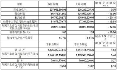 湖南松井新材料股份有限公司2022年度业绩快报公告