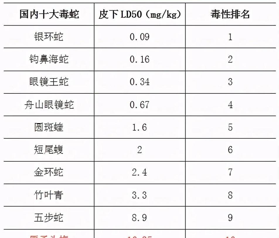 菜花蛇：有毒还是无毒，傻傻分不清楚？原来是好几种蛇“重名”了