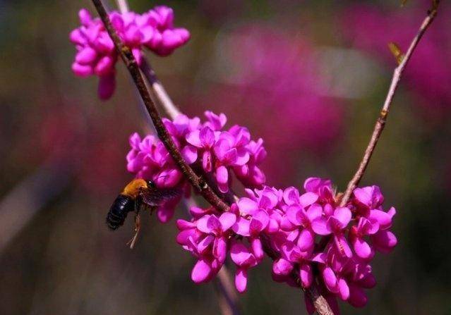 人没有千日好，花没有百日花！（精辟）