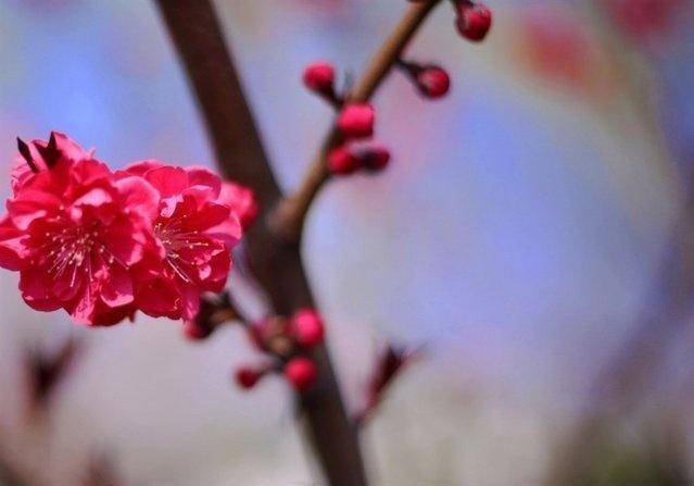 人没有千日好，花没有百日花！（精辟）