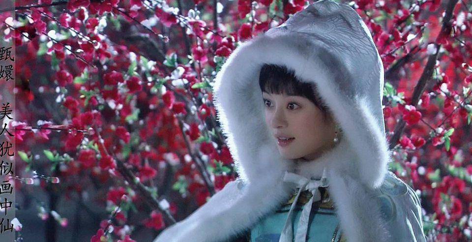 《甄嬛传》错改“朔风如解意”，你真的知道它演的是谁的人生吗？