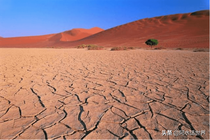 2021年自然灾害有哪些？新冠只是一个烟雾弹？霍金预言或成真