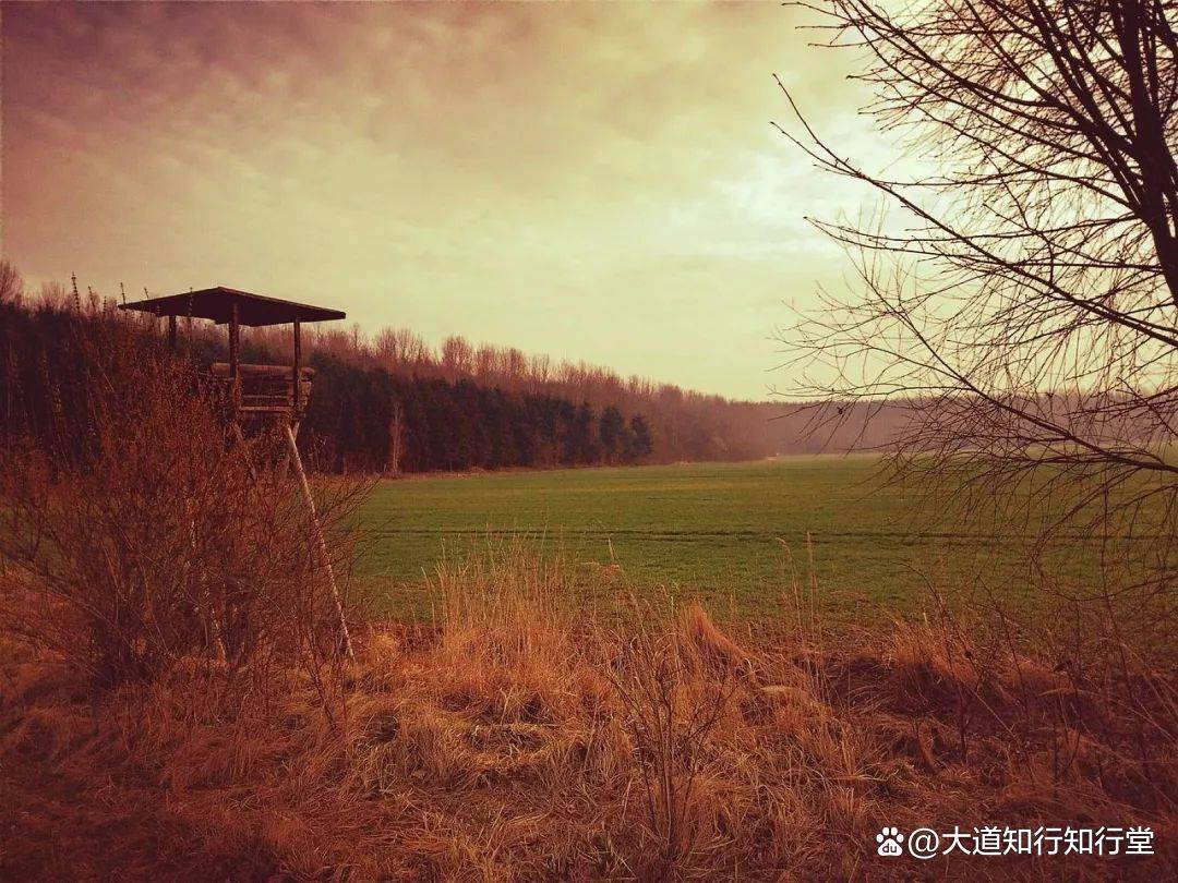 诗词丨漫漫人生风雨路，愿你所行皆坦途