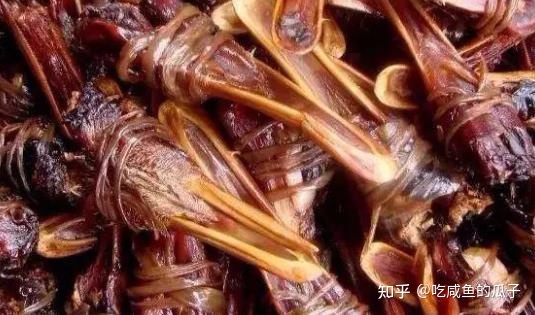 粤菜家常菜谱_粤菜谱_最新粤菜