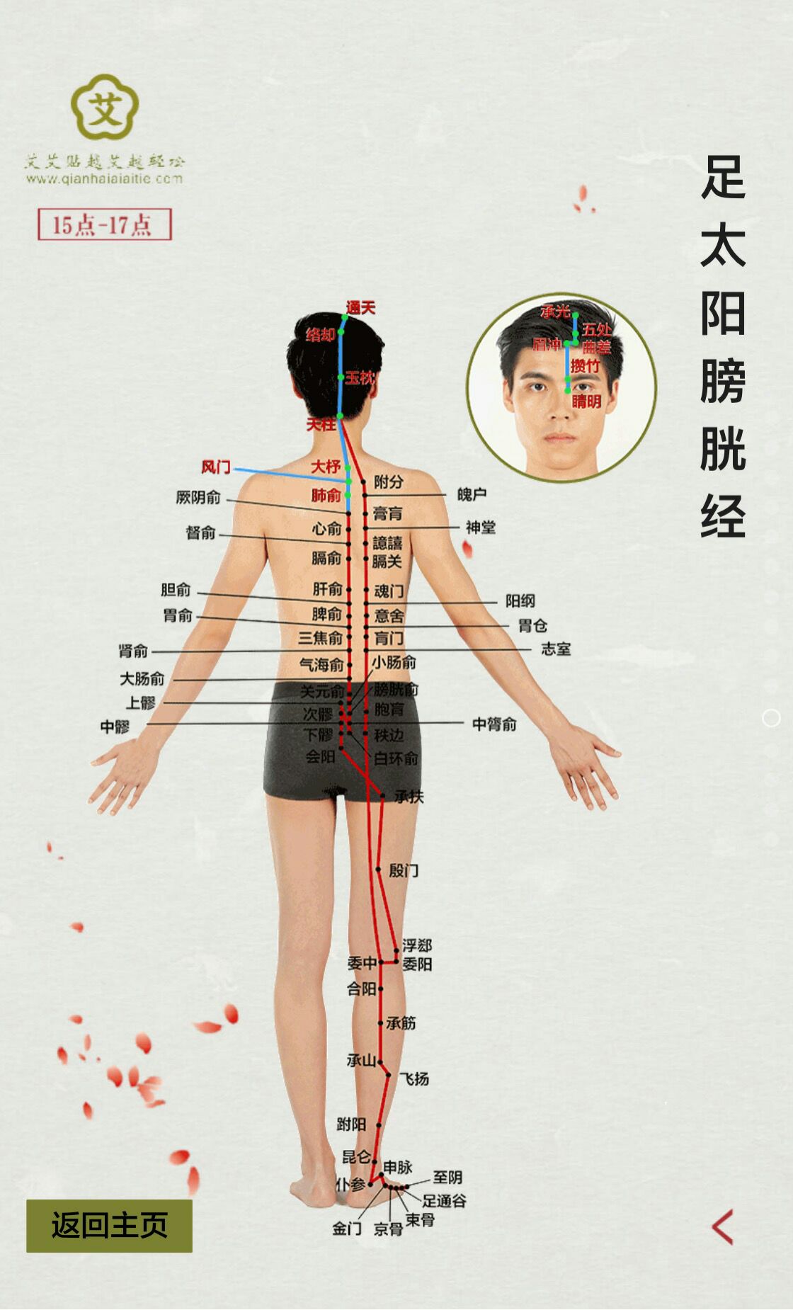 经络不通的症状及打通经络的方法_经络天下经络灸导仪_经络