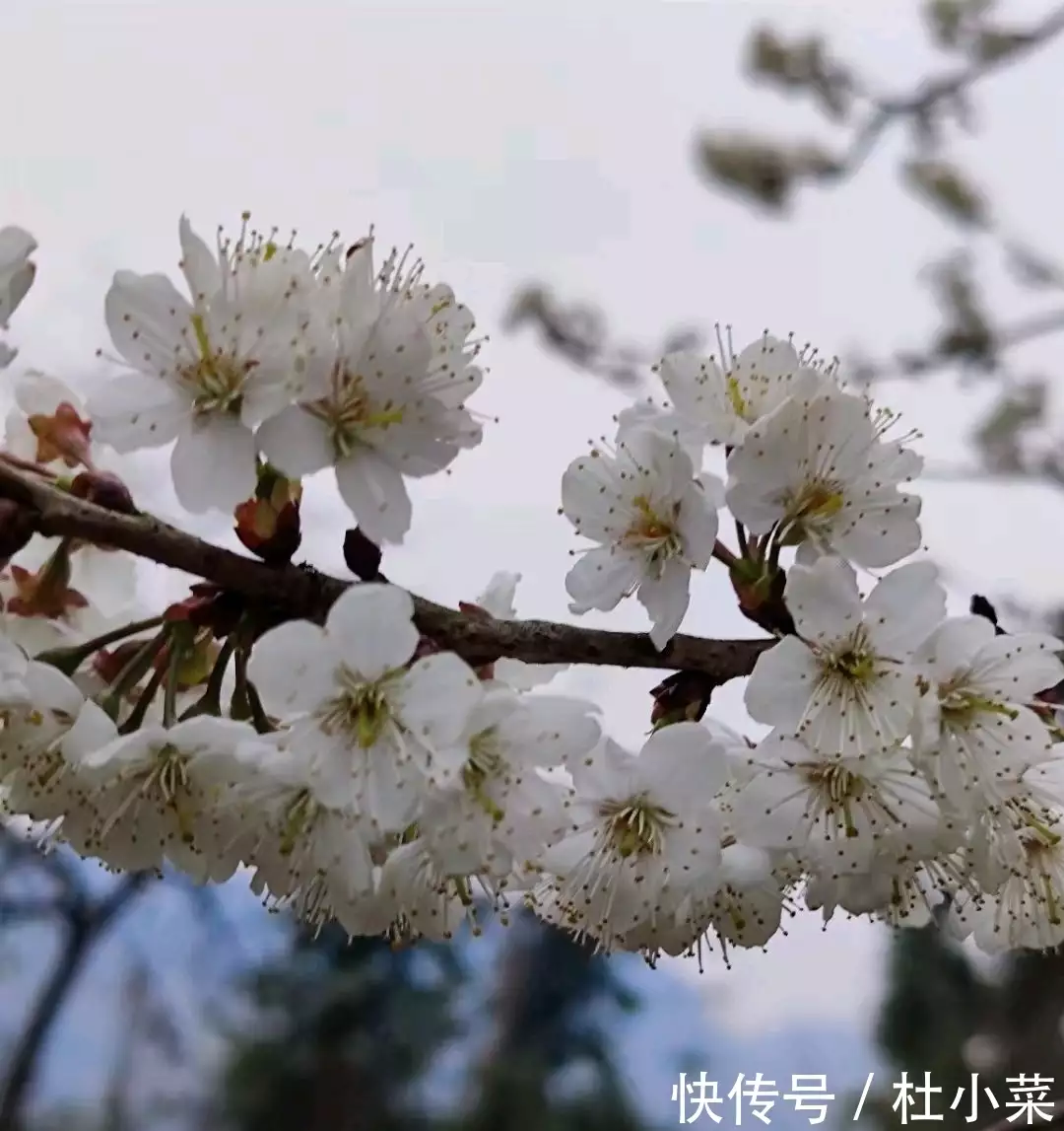 过年几号订婚合适_过年发什么福利合适_过年红包发多少合适
