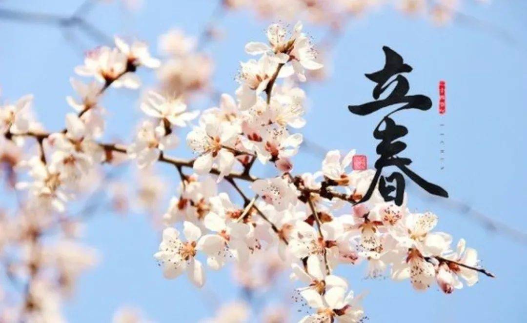 卓成曦｜立春时节带鱼好，年年有余代代旺