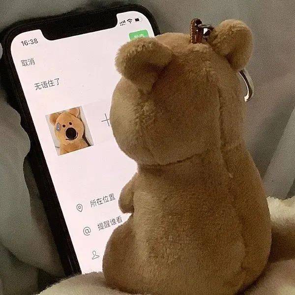 天天刷朋友圈，“朋友圈”用英文咋说？千万别说成