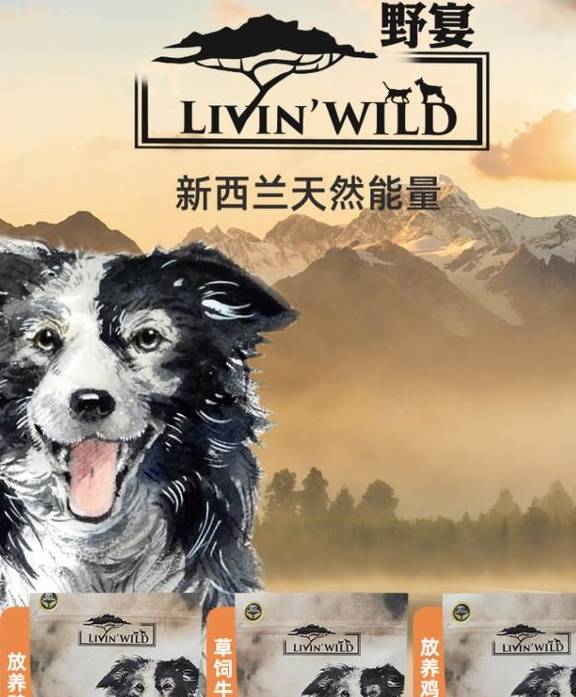 宠物粮食开封后怎么保存？怎么保存最好？