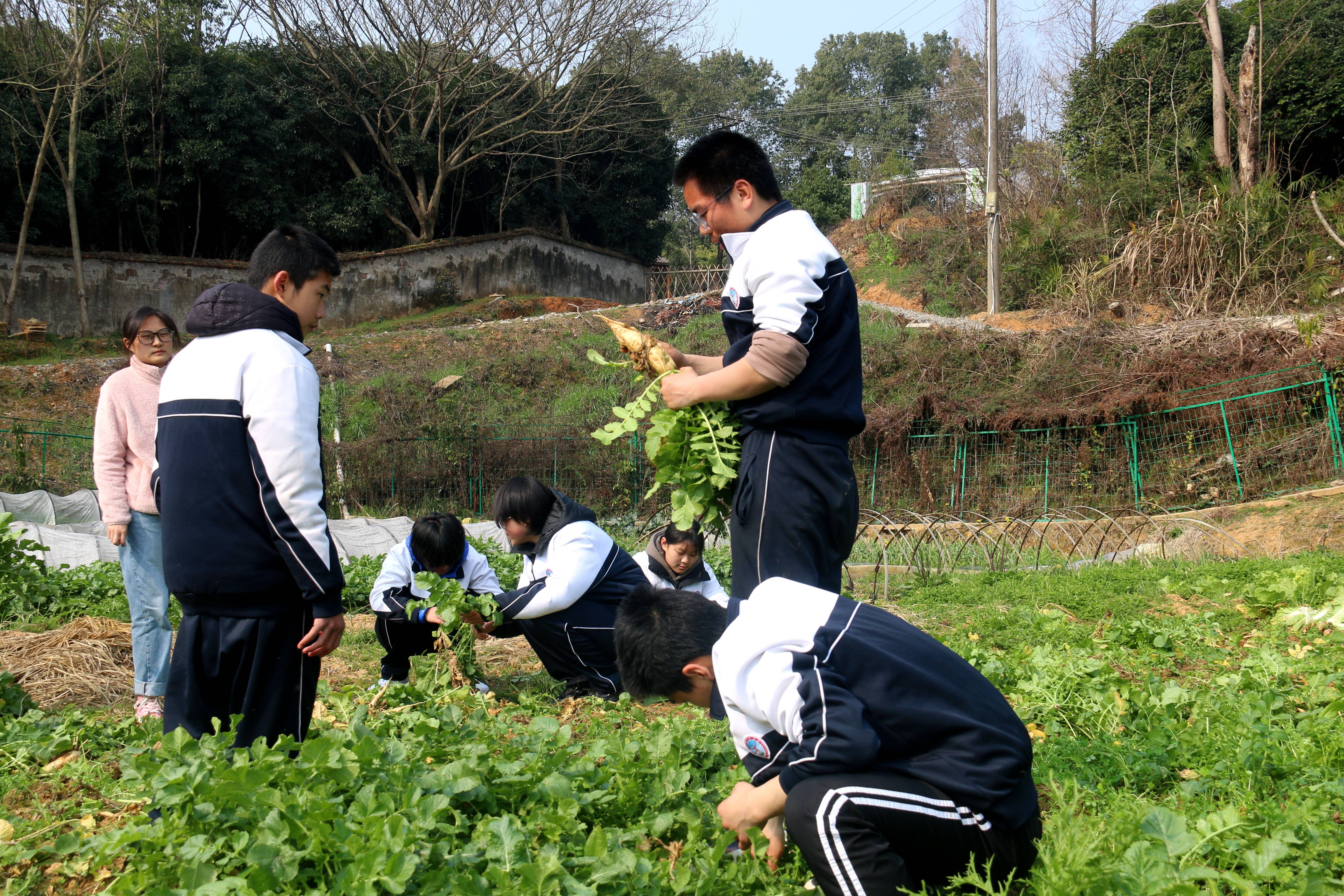 叛逆封闭学校多少钱一年