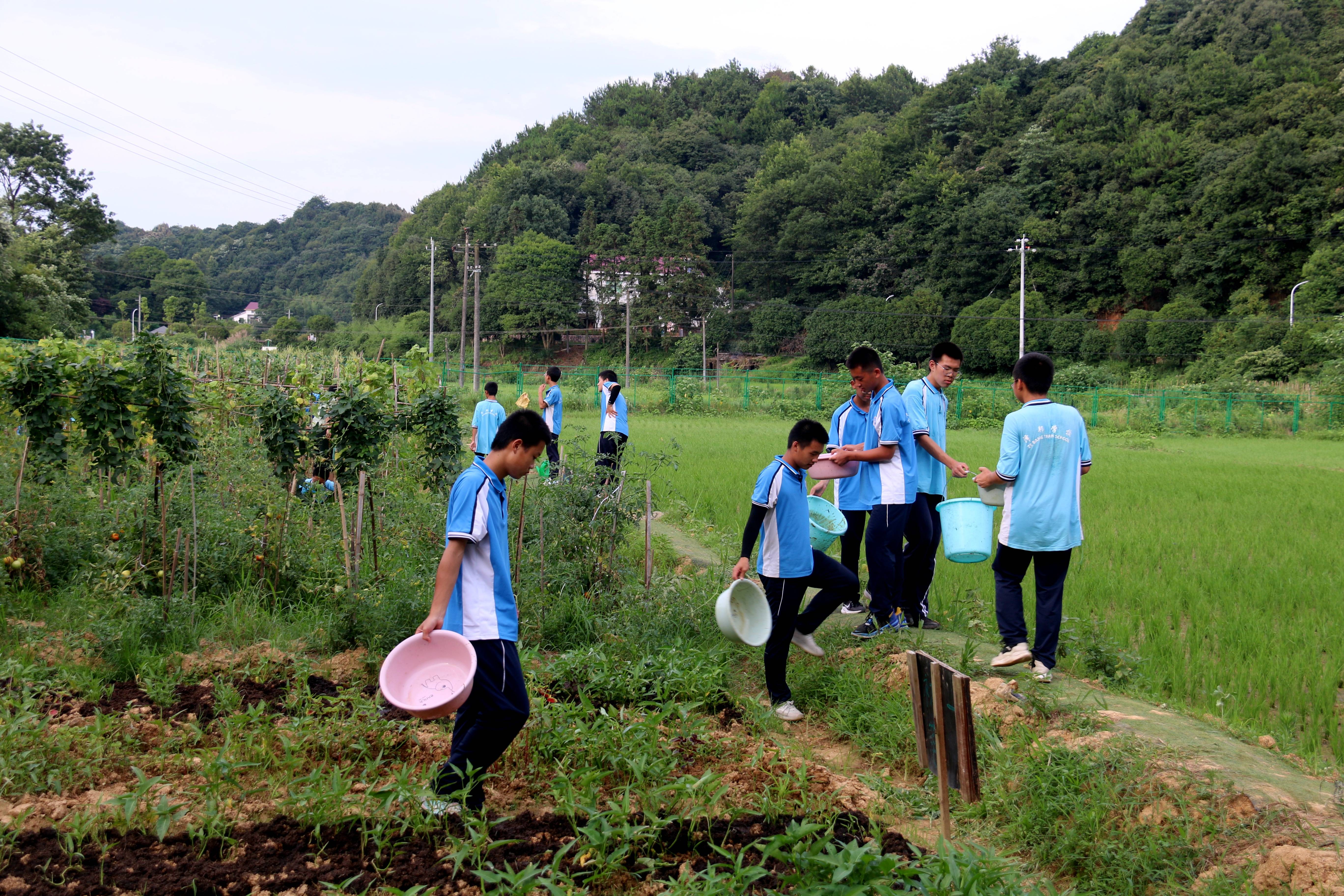 叛逆封闭学校多少钱一年