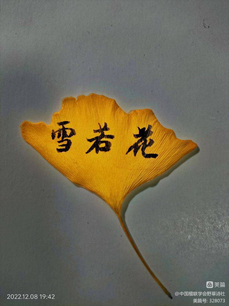 笑指松椿 当是同年 ——贺野草渔阳王一英华诞