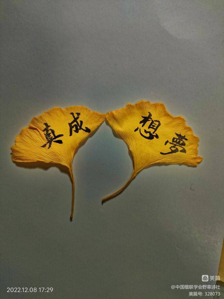 笑指松椿 当是同年 ——贺野草渔阳王一英华诞