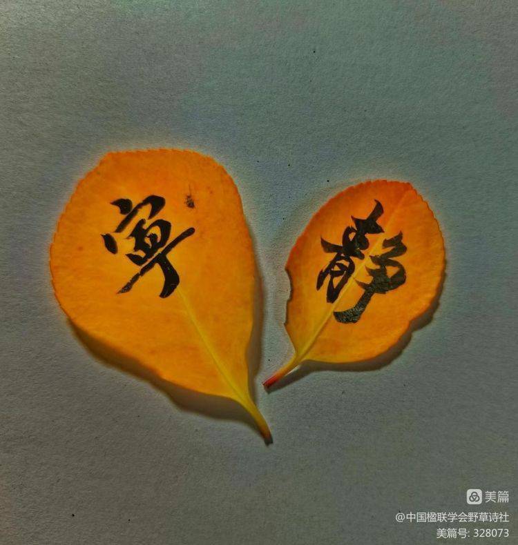 笑指松椿 当是同年 ——贺野草渔阳王一英华诞