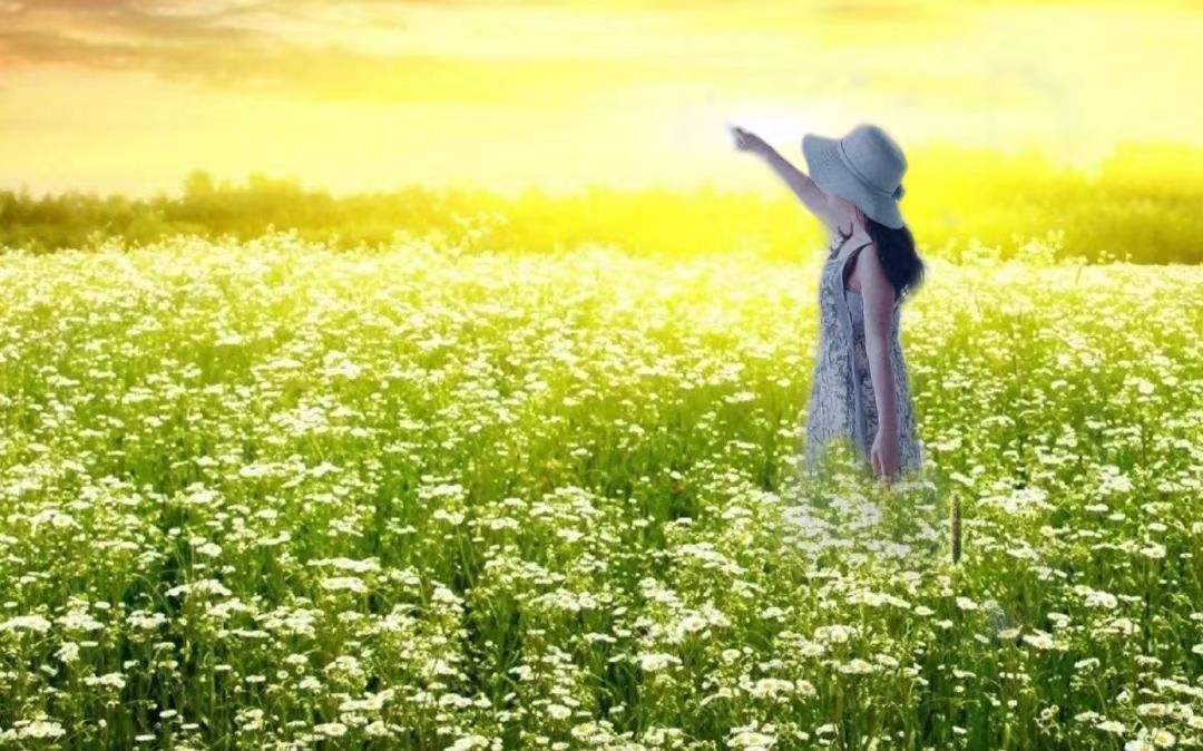 笑指松椿 当是同年 ——贺野草渔阳王一英华诞